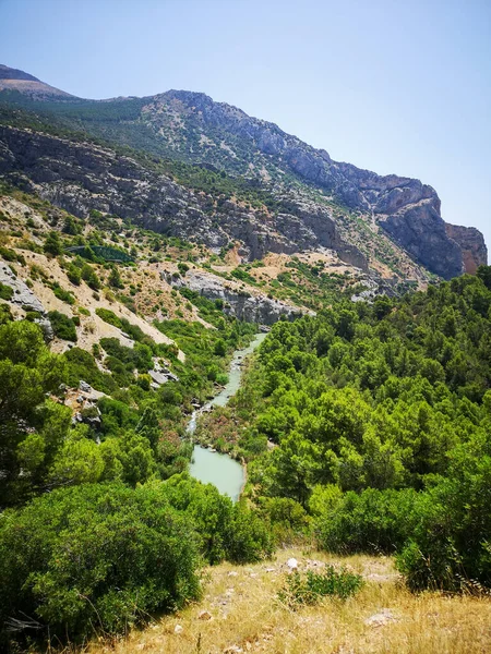 Tiro Vertical Rio Estreito Cercado Por Paisagem Selvagem — Fotografia de Stock