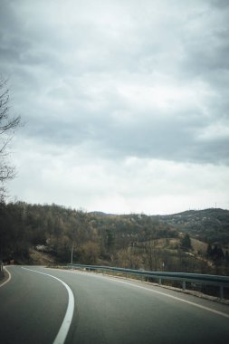 Ormandaki yol kenarının dikey görüntüsü..