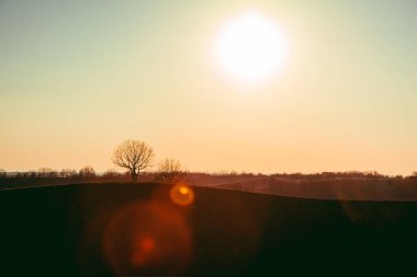 Tepe, ağaç siluetleri ve gökyüzünde parlayan güneşle güzel bir manzara.