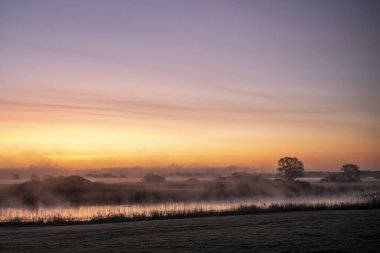Parlak günbatımında kuru yapraksız ağaçların siluetleri ve çimenler gökyüzüne karşı.