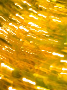 Bulanık sarı ve yeşil arka plan, duvar kağıdı.