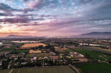 Şili, Paine 'de günbatımında tarlaların hava görüntüsü