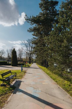 Baharın güneşli bir gününde park manzarası