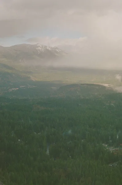 Eine Senkrechte Landschaft Mit Dichtem Wald Und Felsigen Bergen Die — Stockfoto