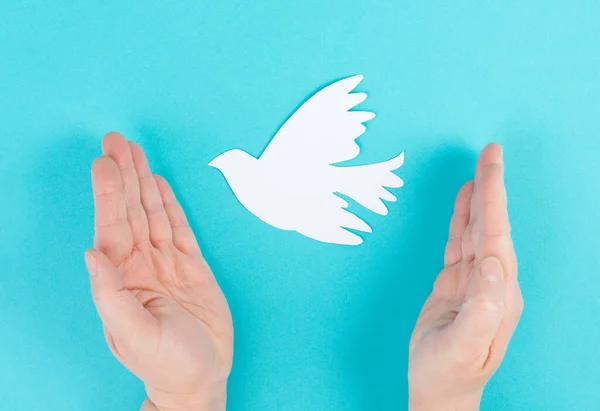 Holding White Dove Hands Symbol Peace Paper Cut Out Pigeon — Stock Photo, Image