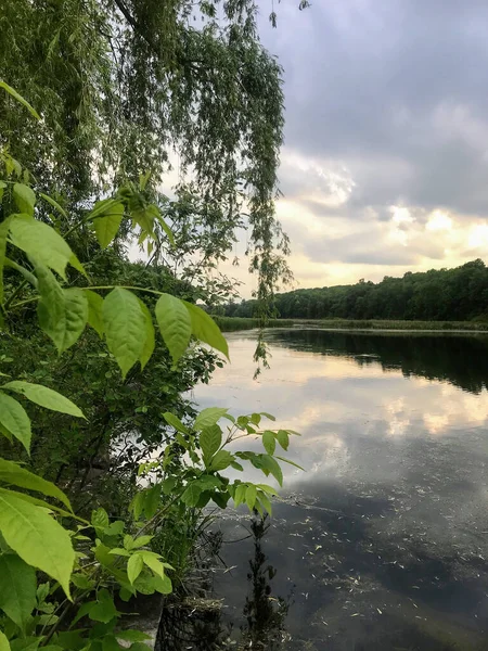 日没時の池の風景 — ストック写真