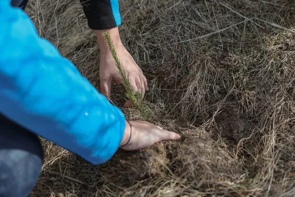 Tiro Perto Engenheiro Agrícola Que Verifica Solo Plantio Fazenda — Fotografia de Stock