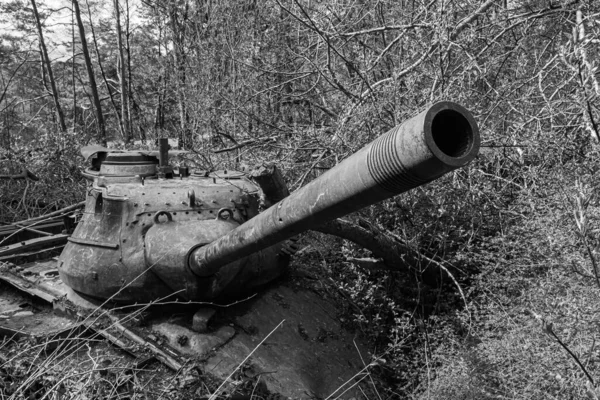 Black White Shot Abandoned Military Tank Forest — Stock Photo, Image