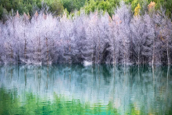 ギリシャのアステリ湖沿岸の紫色の木や緑の木の美しいショット — ストック写真