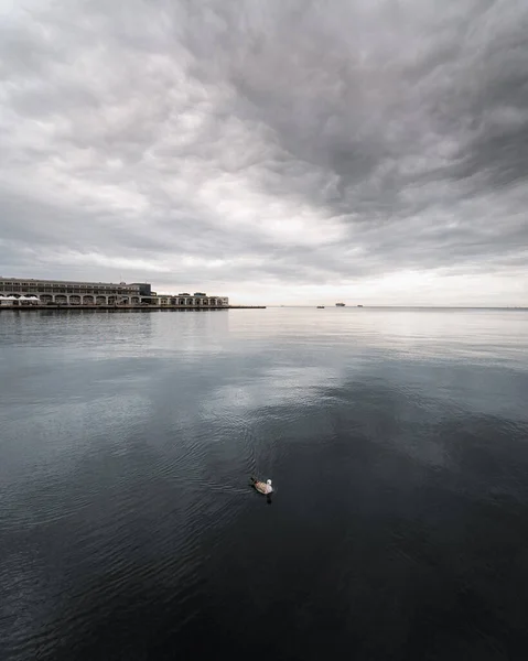 Sakin Bir Gölün Dikey Görüntüsü Bulutlu Bir Gökyüzü Ile Suda — Stok fotoğraf