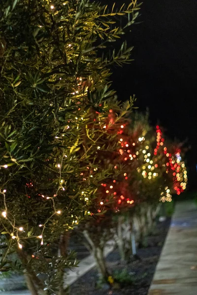 Vertikální Záběr Stromů Zdobených Vánočními Světly — Stock fotografie