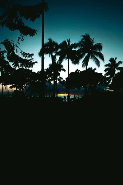 Eine Vertikale Aufnahme Eines Schönen Urlaubs Auf Hawaii Usa — Stockfoto