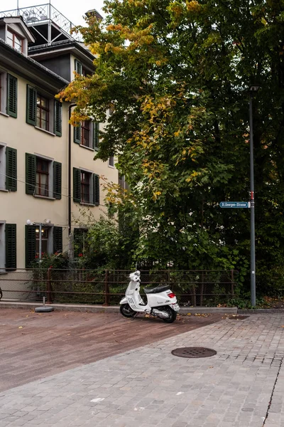 Disparo Vertical Una Vespa Blanca Calle Con Árboles Saint Gallen —  Fotos de Stock