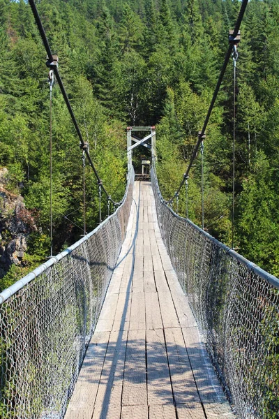 Tiro Uma Longa Ponte Suspensa Nas Montanhas — Fotografia de Stock