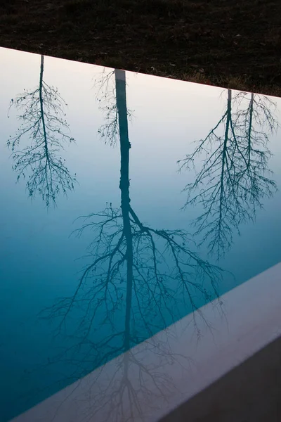 Vertical Shot Reflection Trees Clear Blue Water — Stock Photo, Image