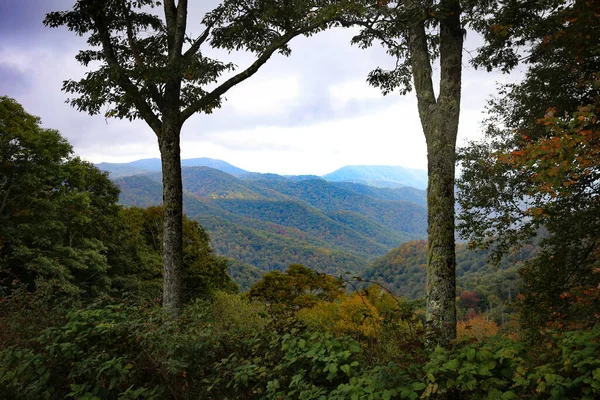 Uma Bela Paisagem Florestas Densas Coloridas Uma Área Montanhosa — Fotografia de Stock