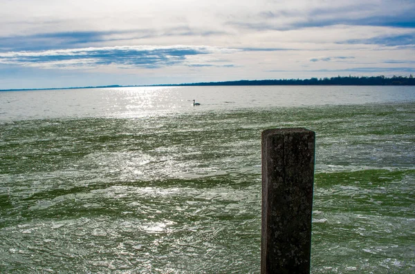 Utsikt Över Ett Hav Eller Havsstrand Med Träundersökning Sanden Vår — Stockfoto