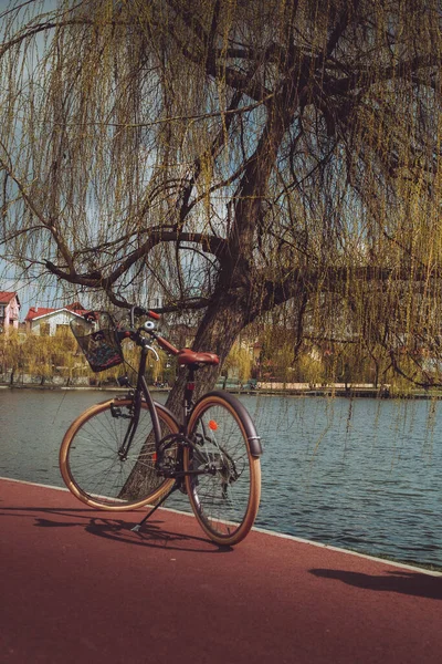 Вид Припаркованный Рядом Деревом Велосипед Фоне Озера — стоковое фото