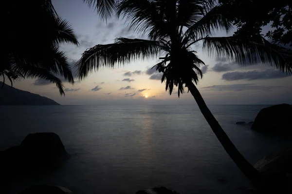 Die Palmen Silhouetten Gegen Das Meer Bei Sonnenuntergang — Stockfoto