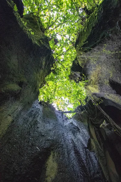 在绿叶背景上的一个垂直的低角度岩石拍摄 — 图库照片