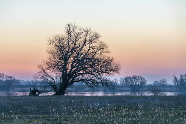 小さな池と枯草の木々が広がる田園のカラフルな夕日の風景 — ストック写真