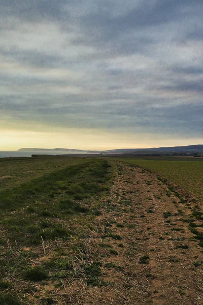 Een Verticaal Shot Van Een Pad Het Veld Met Bergen — Stockfoto