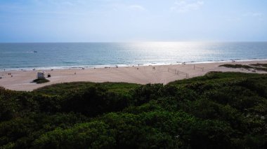 Önünde yeşil ağaçlar olan büyüleyici bir okyanus manzarası