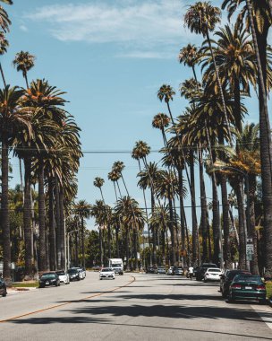 Beverly Hills 'teki bir yolun dikey çekimi.