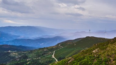 Portekiz 'in Arouca kentindeki tepelerde yeşil sık ormanlardan oluşan güzel bir manzara.