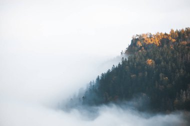 Bulutların arasında güzel bir sonbahar ormanı manzarası