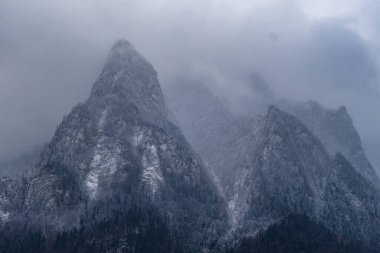 Sisli bir günde geniş Bucegi dağlarının arka planında sık bir orman manzarası
