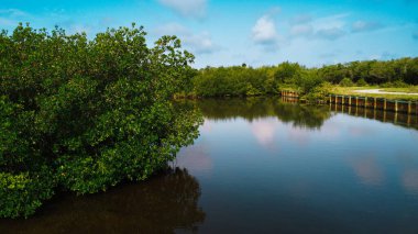 Yeşil ağaçlarla çevrili sakin bir göl manzarası.
