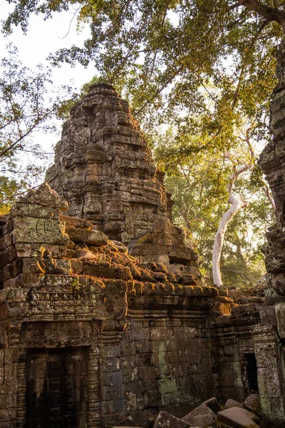 Plan Vertical Temple Historique Eau Angkor Asie — Photo
