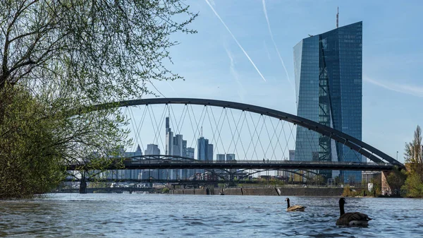 Una Vista Los Rascacielos Frankfurt Con Puente Frente Durante Día — Foto de Stock
