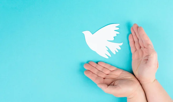 Trzymając Rękach Białego Gołębia Symbol Pokoju Wycięty Papier Gołąb Miejsce — Zdjęcie stockowe