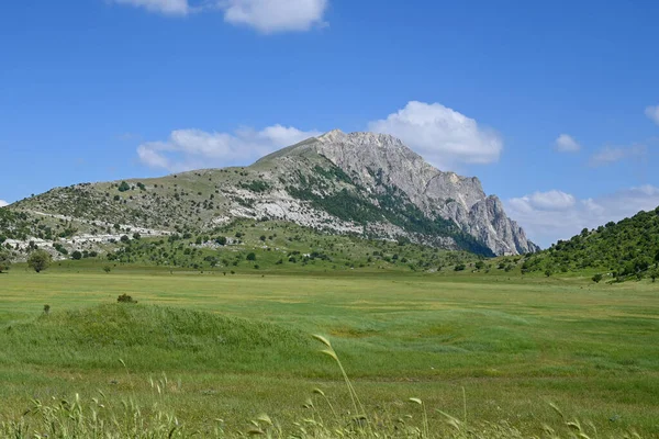 Een Schilderachtige Opname Van Een Landschap Met Een Groen Grasveld — Stockfoto