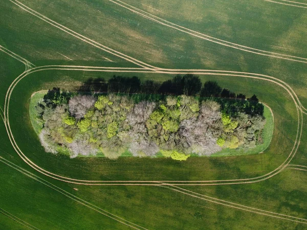 北アンプトンシャーの緑のフィールド内の木の空中ビュー — ストック写真