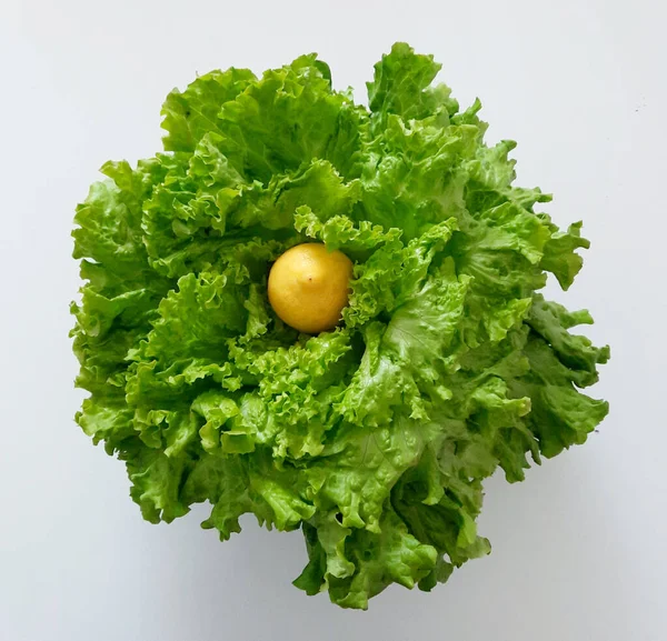 Erster Frühlingshafter Salat Mit Zitrone — Stockfoto