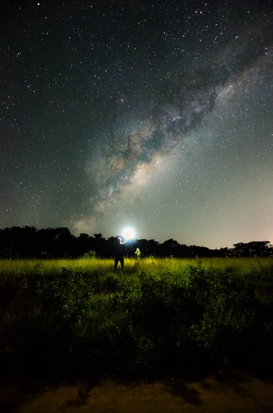 Vertical Shot Silhouetted Trees Stary Sky Vesta Night Scene — Stock Photo, Image