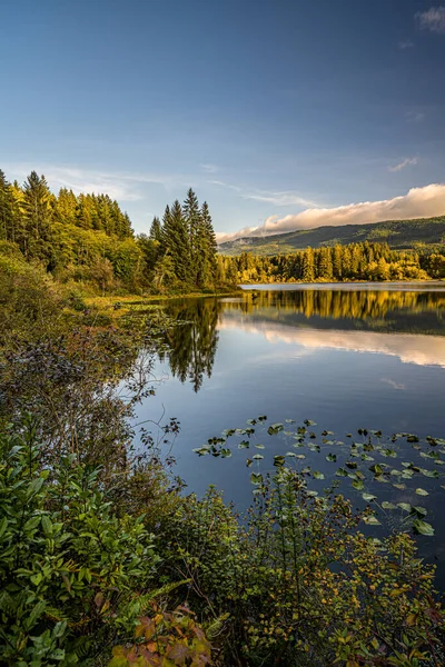 一个迷人的景象是一个平静的湖 四周环绕着树木 — 图库照片