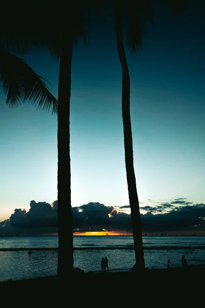 Eine Vertikale Aufnahme Eines Schönen Urlaubs Auf Hawaii Usa — Stockfoto