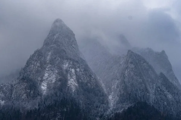 霧の多い日には巨大なブギ山を背景に鬱蒼とした森の景色 — ストック写真