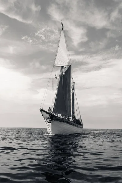 Gråskala Segelbåt Havet Sardinien Italien — Stockfoto