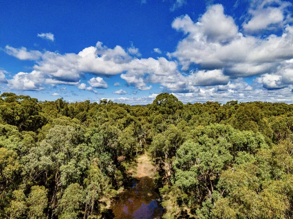 Uma Vista Aérea Das Belas Florestas Verdes Exuberantes Emmaville Austrália — Fotografia de Stock