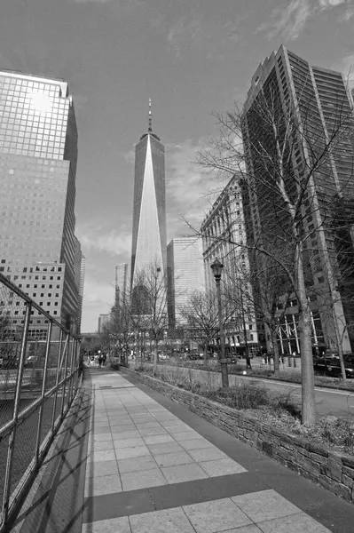 Plano Vertical Rascacielos Cristal Fondo Del Cielo Azul Nueva York —  Fotos de Stock