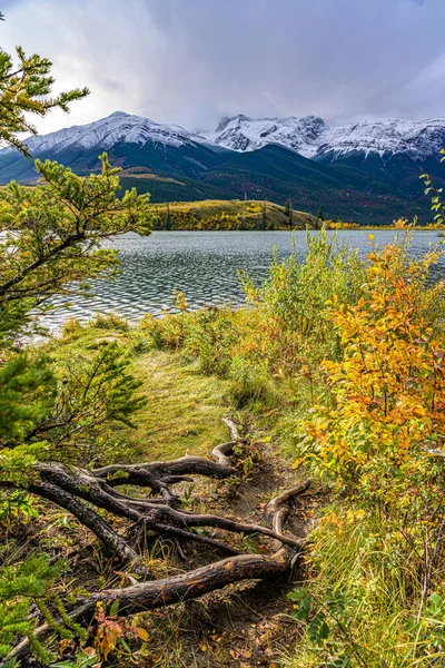 Красивий Вид Озеро Оточене Деревами Горами — стокове фото