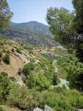 Vahşi doğayla çevrili dar bir nehrin dikey görüntüsü.