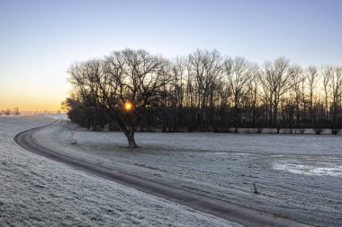 Ağaçların ve otların siluetleriyle dolu tarlada parlak turuncu bir günbatımı
