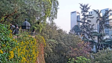 Santiago, Şili 'de güneşli bir günde şehrin modern binasına karşı parktaki renkli bitkilerin güzel bir görüntüsü.