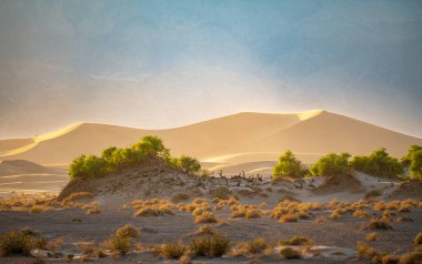Ölüm Vadisi, Doğu Kaliforniya 'daki kum tepeleri, Mojave Çölü, ABD.